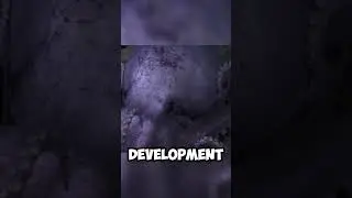 Octopus Garden: The Deepest Incubator on Earth!