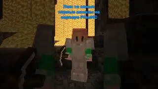 IP:tt.pfaumc.io Нашёл первые алмазы на PfauMC #minecraft #vanilla #mem #майнкрафт_сервер #shortvideo