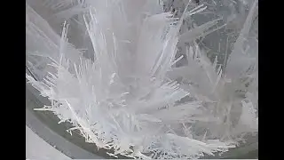 Deadly Beauty: Thallium(I) Nitrate #thallium #chemistry #inorganicchemistry #timelapsevideos