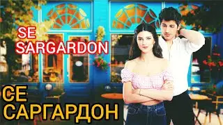 СЕ САРГАРДОН КИСМИ 1