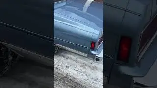 #MoesCustoms