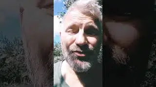 гвозди живыми не бывают
