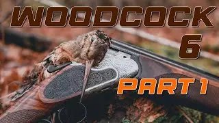 Northwoods Woodcock Hunting 6 | Part 1