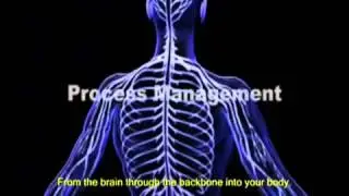 The Body Of Information