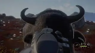 theHunter Call of the Wild 2021