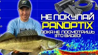 Panoptix for 500,000 ₽ — is it worth the money? The whole truth from a real user!
