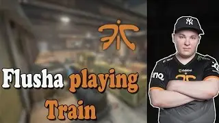 Fnatic flusha playing CS:GO Faceit on Train (twitch stream)