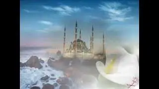 Imam Elinin heyati