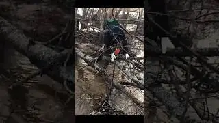 Тернистый путь кладоискателя! Ржал до слёз! 