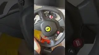 POV:Having a thrustmaster steering wheel 2.0 
