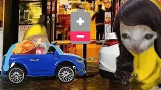 BANANA CAT 🍌🐱 BAD LUCK 😿 VIDEOS 23 ( 2 MINUTES )
