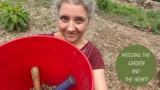 Garden Update and The Wonders of Weeds!