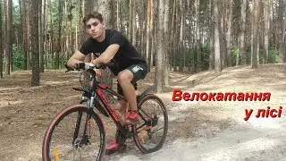 Драйв серед дерев на велосипеді Spark