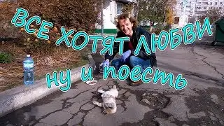 VLOG: ВСЕ ХОТЯТ ЛЮБВИ, ну и поесть)