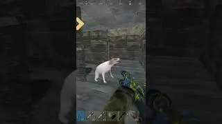 POV: You Go Afk For 2 Minutes In Rust #Rust #shorts