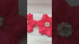 24 февраля 2024 г.