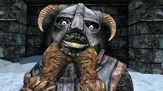 Skyrim, but I'm an actual Windhelm Guard NPC
