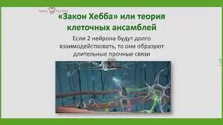 Закон Хебба