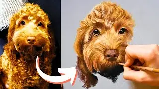 How to draw a Dog 🐶 Cockapoo Pet Portrait | Curly Fur