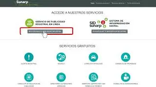 Suscripción al Servicio de Publicidad Registral en Línea (SPRL)