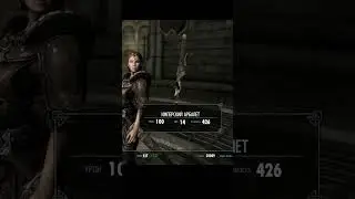 Увидел комментарий какая разница какой вид,ты посмотри на урон🙄😑 Важно?#skyrim#skyrimspecialedition