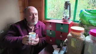 Autumn Leaves (Sean James Cameron cover)