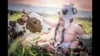 Отел коровы.Не успела даже чай попить.....