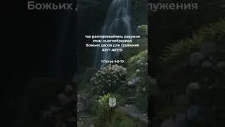 1 Петра 4:8-10 в современном переводе #библия #biblevision