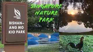 SINGAPORE NATURE PARK | BISHAN ANG MO KIO PARK
