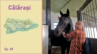 Toata Romania ep28: Calarasi. Borcea, Brezni si animale grase