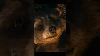 Scary Story of Rocket Raccoon *SAD*😢⋮ Guardians of The Galaxy 3 