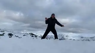 Capoeira nos alpes Suíço 2024