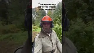 Зачистка от старой плодовки и ДКР