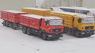7 декабря 2023 г.