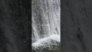 Водопад в Абхазии🏔️