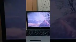 Полёт совы