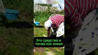 Секрет наших бабушек как оживить любую почву! 