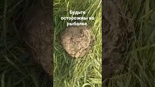 будьте осторожны на рыбалке #рыбалка