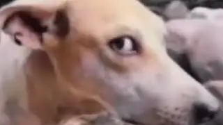 🤨