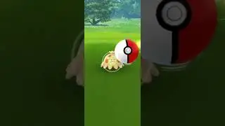 Shiny Shroomish! Pokémon Go!