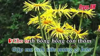 Căn Nhà Màu Tím Song Ca Full Beat Karaoke Nhạc Sống OrganBM