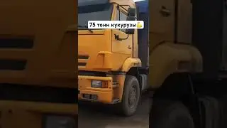 КамАЗ взял 75 тонн кукурузы💪 