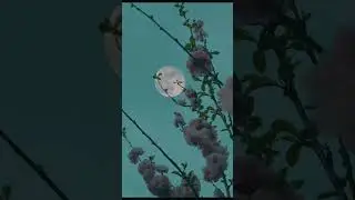 உங்களுக்குத் தொழிலிங்கே அன்புசெய்தல் கண்டீர்!
