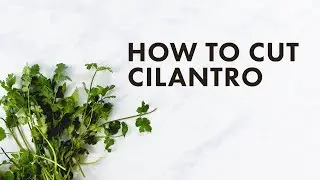 How to Cut Cilantro