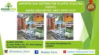 Harga Plastik Uv Lebar 3 Meter, Harga Plastik Uv Lebar 10 Meter HP/WA.0857-9959-7519(BAPAK DIKA)
