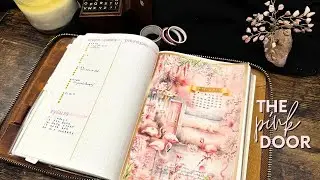 🪷🦩 February 2024 Plan With Me | The Pink Door | Common Planner | Bullet Journal