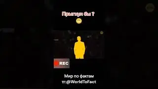 А вы бы прыгнули #факты #земля