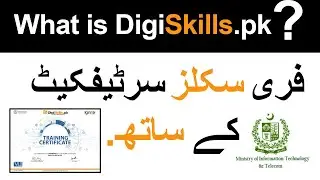 What is Digiskills Complete information