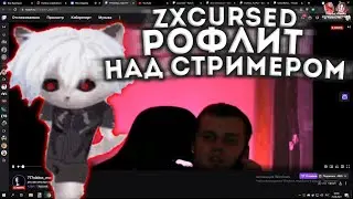 Курсед рофлит над АСМР стримером || ZXCURSED НАРЕЗКИ