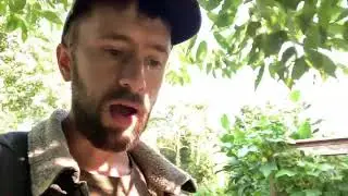 Gardening in a Forest